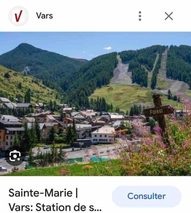 Апартаменты Duplex Avec Belle Terrasse Au Pied Des Pistes Вар Экстерьер фото